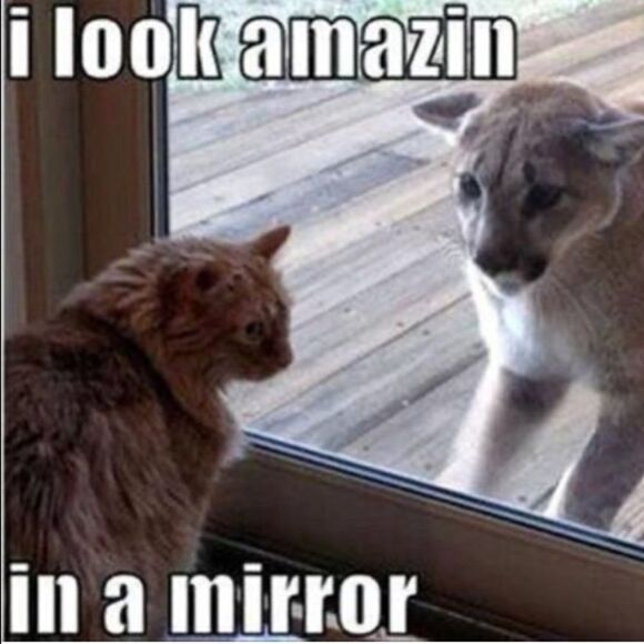 ISO Disney 50th Celebration McDonalds Toys For TRADE ONLY PFFS Girlsquad - Picture 3 of 15